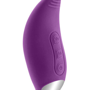 Lingus  Purple