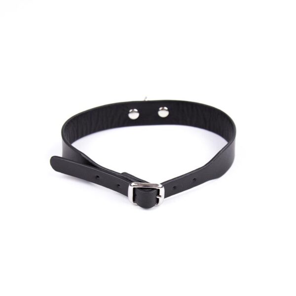 Collar Ajustable 43 Cm Negro - Imagen 2