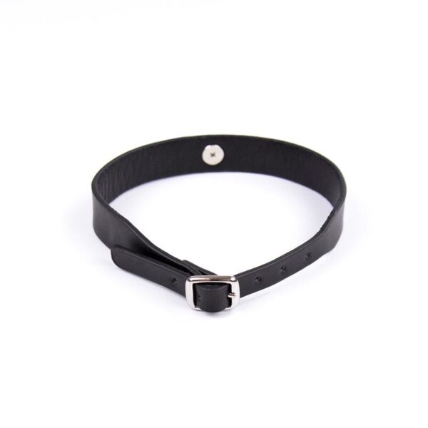 Collar Con Cascabel Ajustable 43 Cm Negro - Imagen 2