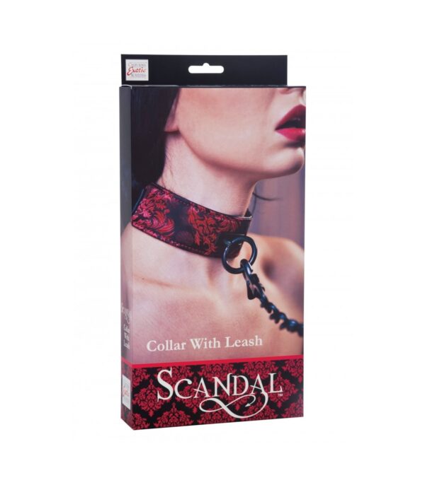 Collar Con Correa