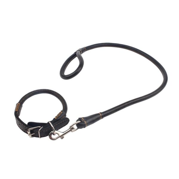 Collar Y Correa Sexy Slave Negro