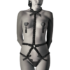Coquette Chic Desire – Lingerie Set Con Pezoneras Deluxe - Imagen 2