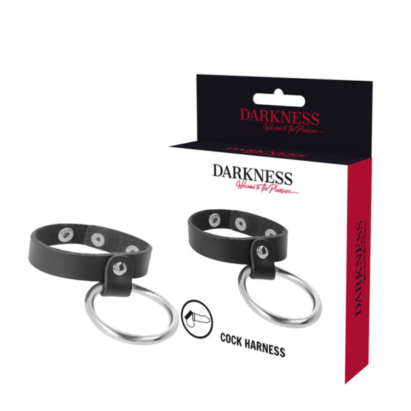 Darkness – Anillo DE Metal Para El Pene Y Testículos - Imagen 2