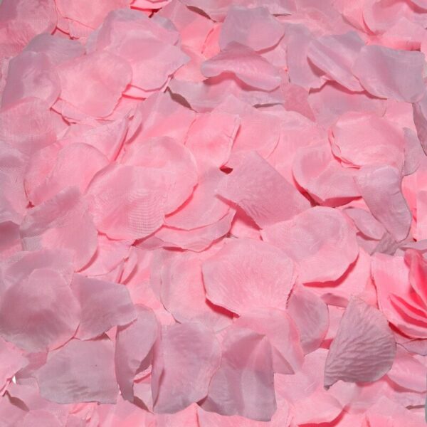 Diablo Picante – 100 Pétalos Rosa