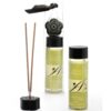 Extase Sensuel – Aceite Masaje Efecto Calor Con Feromonas Mojito 100 Ml - Imagen 2