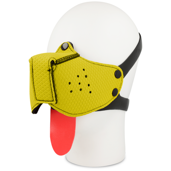 Ohmama Fetish – Bozal Perro Amarillo
