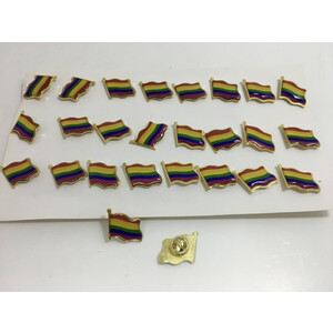 Pin Bandera Orgullo Lgtb