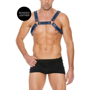 Buckle Bulldog Harness – Azul