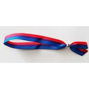 Pulsera Bisexual