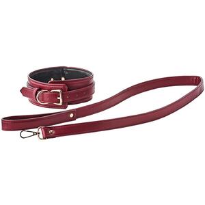 Blaze Elite Collar and Leash Red