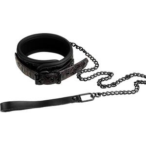 Blaze Collar and Leash Purple