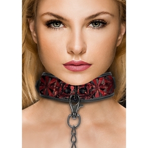Luxury Collar Con Cadena