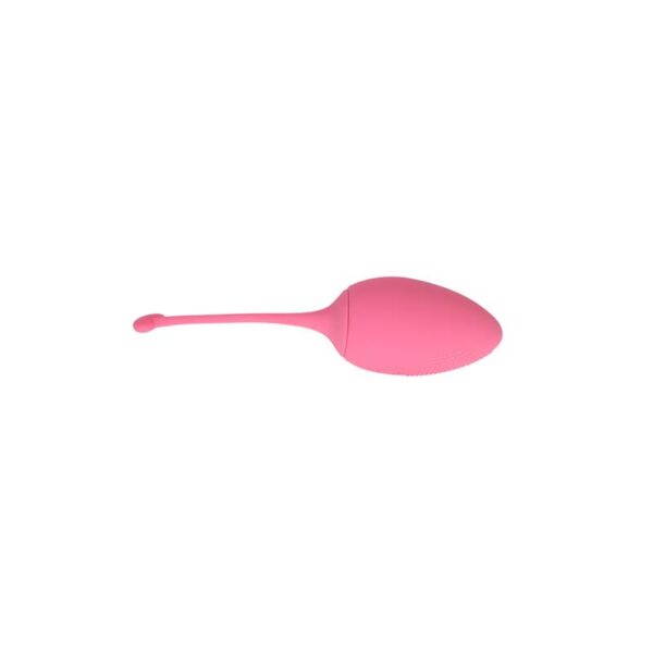 Huevo Vibrador Control Remoto Sweety Teaser Usb 5.7 - Imagen 5