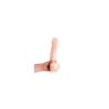 Pene Realístico Dinoo King Size 305 Cm Curved Flesh” - Imagen 4