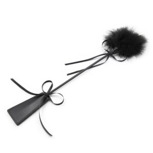 Plumero Y Fusta 2 En 1 49 Cm Negro