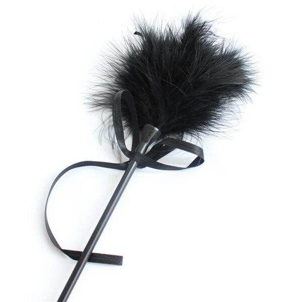 Plumero Y Fusta 2 En 1 49 Cm Negro - Imagen 5