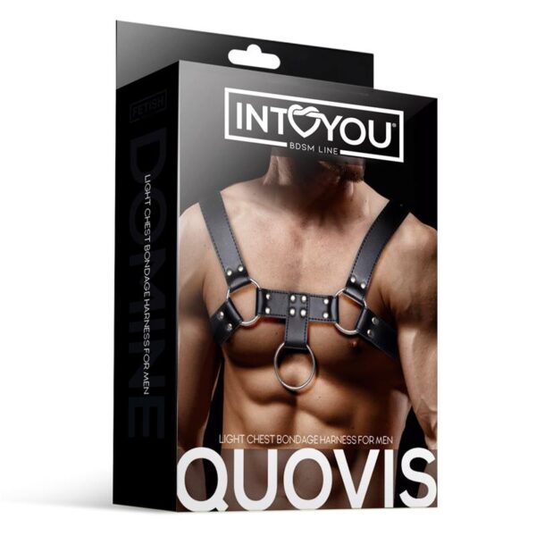 Quovis Arnés Masculino Para Bondage Cuero Vegano - Imagen 3