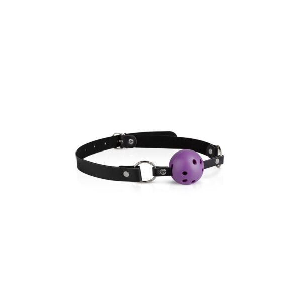 Secret Pleasure Chest Purple Apprentice - Imagen 2