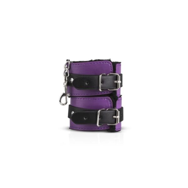 Secret Pleasure Chest Purple Apprentice - Imagen 3