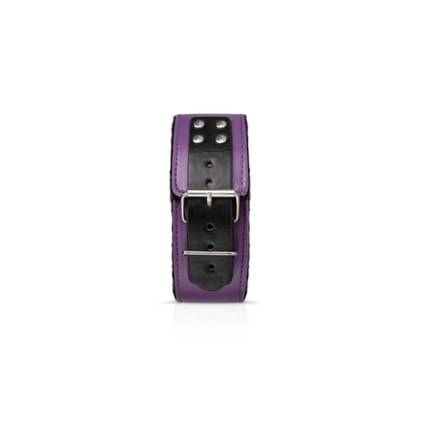 Secret Pleasure Chest Purple Apprentice - Imagen 4