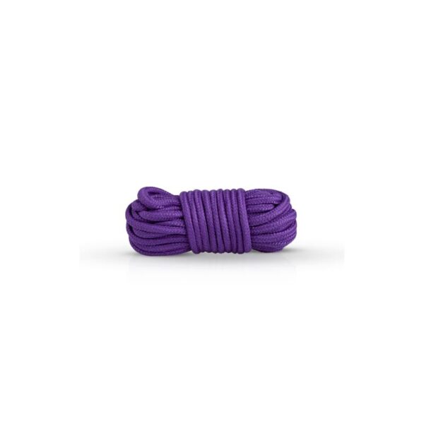 Secret Pleasure Chest Purple Apprentice - Imagen 7