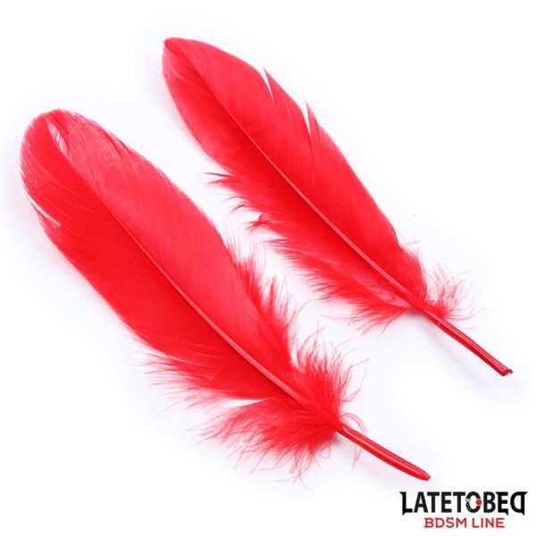 Set DE 3 Piezas Antifaz. Plumas Y Esposas - Imagen 4