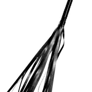 Crystal Whip