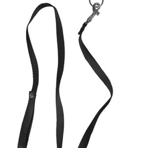 Black Leash & Collar