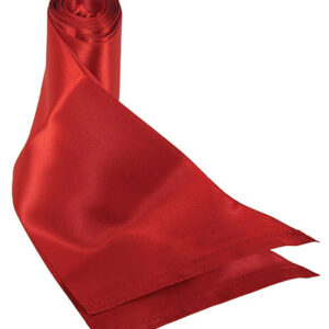 Silky Sash Restraints – Red