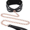 S&M Brat Collar & Leash