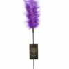 OSTRICH TICKLER - PURPLE - Imagen 2
