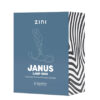 JANUS LAMP IRON BORDEAUX LARGE - Imagen 3