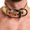 Collar con Correa Bondage Dorado - Imagen 4
