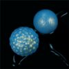 Oceans Toner Bolas Kegel Set de 2 - Imagen 2