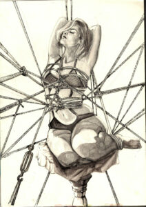 shibari guia