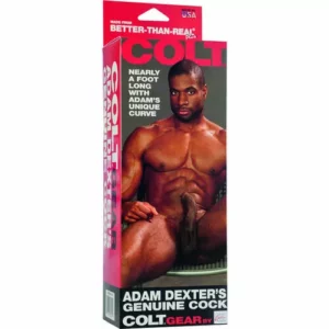 COLT Pene Realístico Adam Dexter – Réplica de Silicona con Ventosa | California Exotics